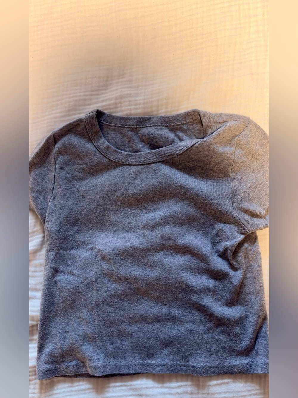 Brandy Melville Cropped Baby Tee
